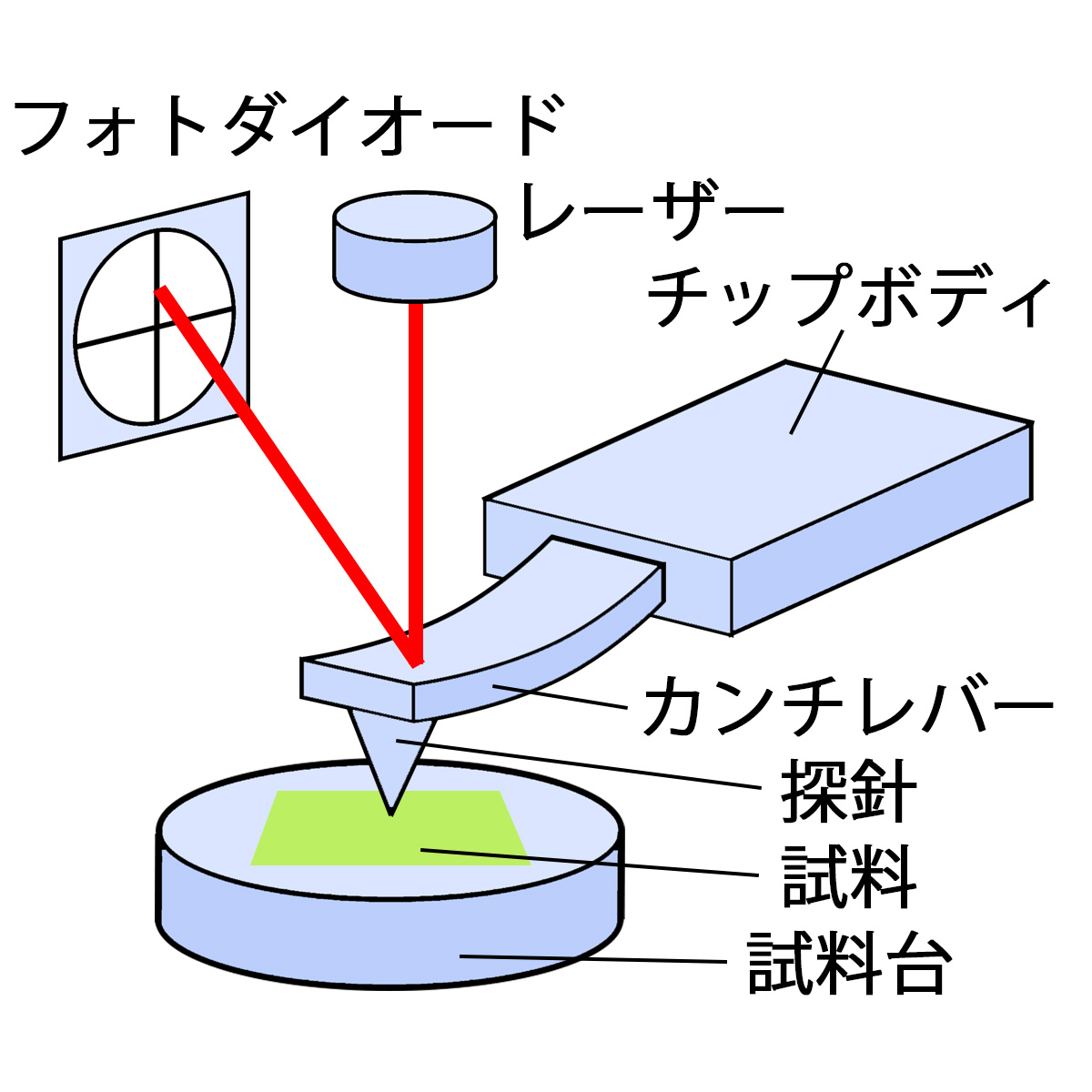 AFM (原子間力顕微鏡) 原理 サムネイル